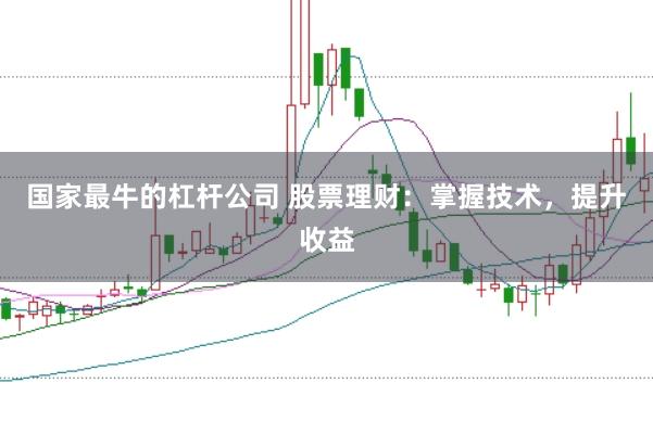 国家最牛的杠杆公司 股票理财：掌握技术，提升收益