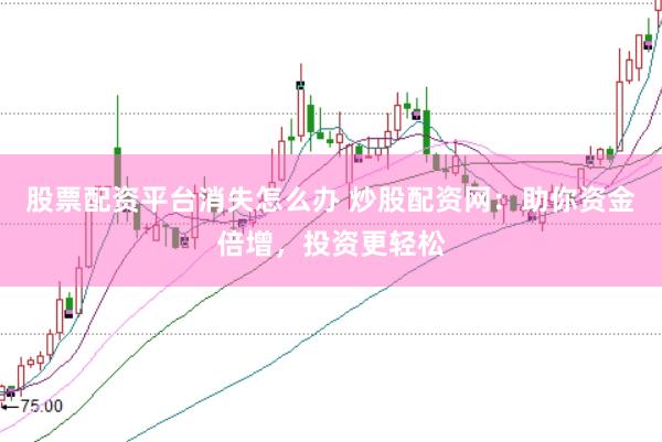 股票配资平台消失怎么办 炒股配资网：助你资金倍增，投资更轻松