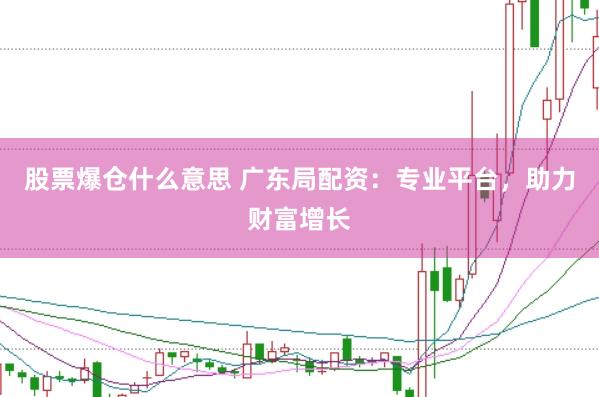 股票爆仓什么意思 广东局配资：专业平台，助力财富增长