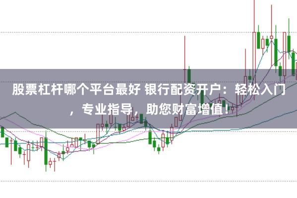 股票杠杆哪个平台最好 银行配资开户：轻松入门，专业指导，助您财富增值！