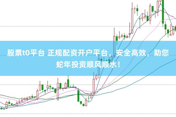 股票t0平台 正规配资开户平台，安全高效，助您蛇年投资顺风顺水！