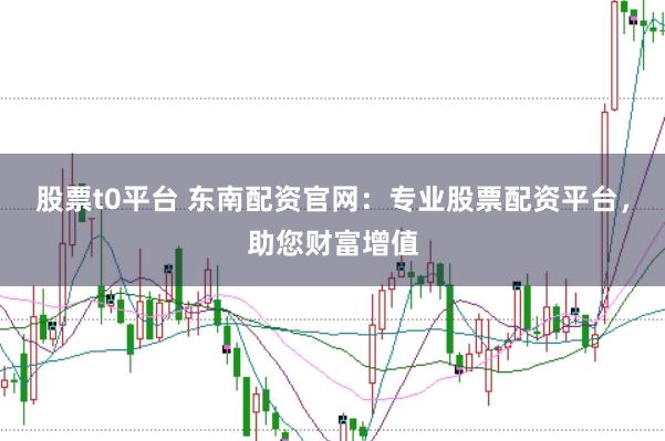 股票t0平台 东南配资官网：专业股票配资平台，助您财富增值