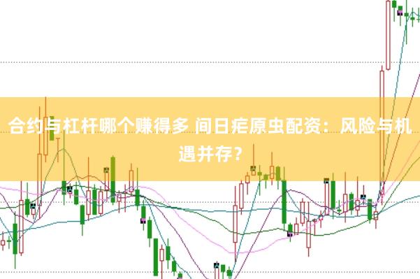 合约与杠杆哪个赚得多 间日疟原虫配资：风险与机遇并存？