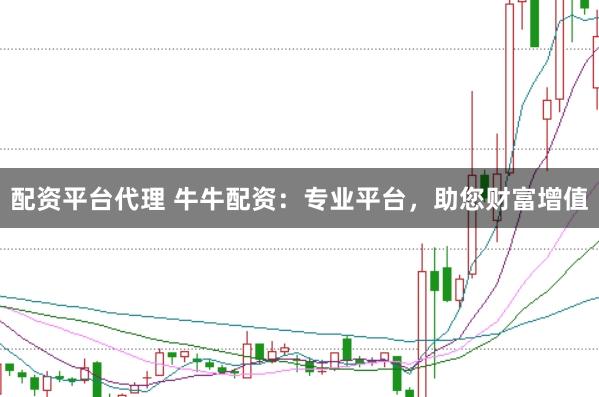 配资平台代理 牛牛配资：专业平台，助您财富增值