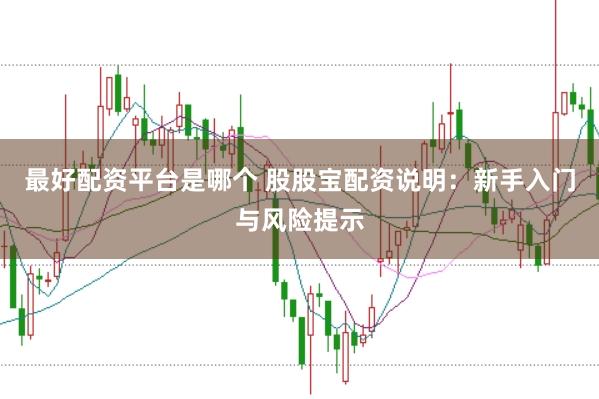 最好配资平台是哪个 股股宝配资说明：新手入门与风险提示