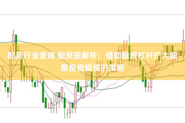 配资行业查询 配资股解析：借助融资杠杆扩大股票投资规模的策略