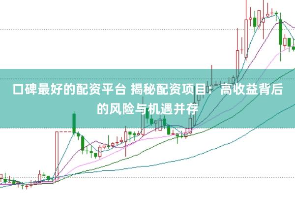 口碑最好的配资平台 揭秘配资项目：高收益背后的风险与机遇并存