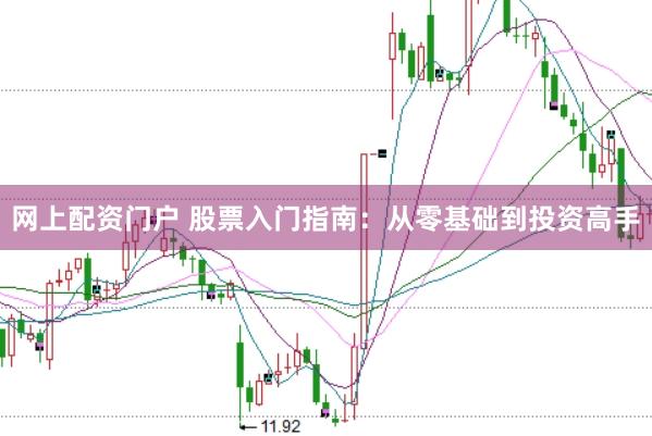 网上配资门户 股票入门指南：从零基础到投资高手