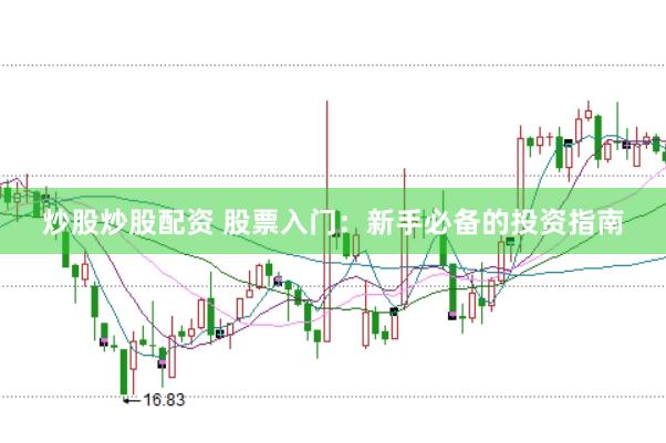 炒股炒股配资 股票入门：新手必备的投资指南