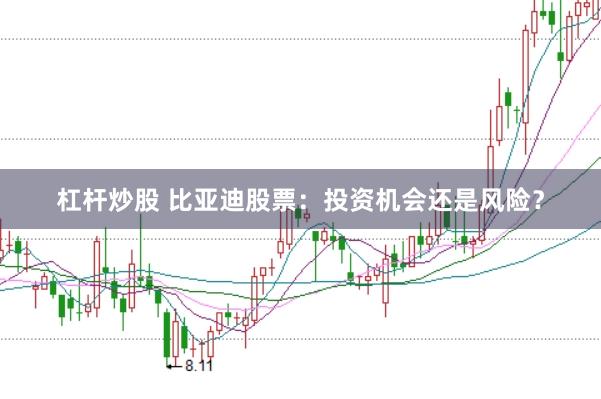 杠杆炒股 比亚迪股票：投资机会还是风险？