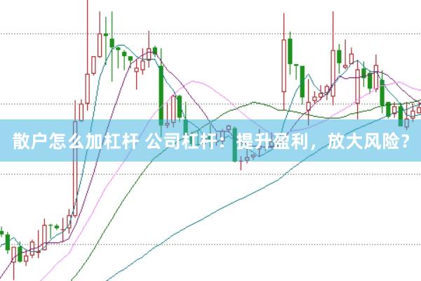 散户怎么加杠杆 公司杠杆：提升盈利，放大风险？