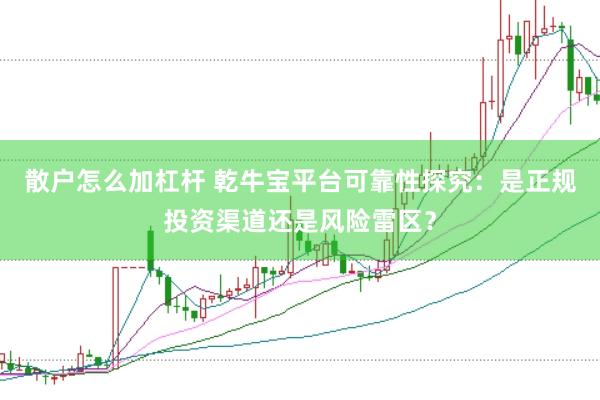 散户怎么加杠杆 乾牛宝平台可靠性探究：是正规投资渠道还是风险雷区？