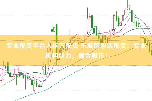 专业配资平台入杨方配资 东城区股票配资：专业机构助力，掘金股市！