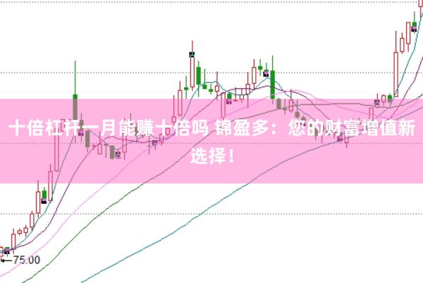 十倍杠杆一月能赚十倍吗 锦盈多：您的财富增值新选择！