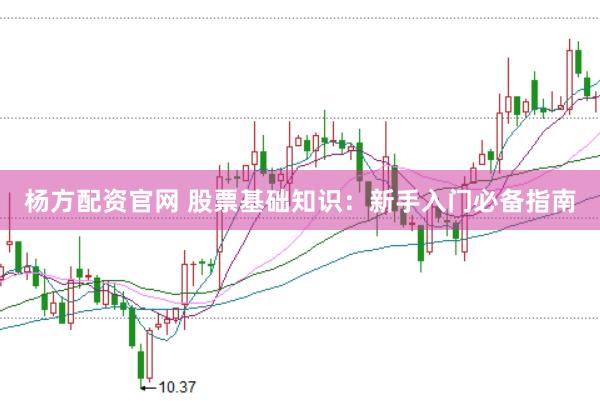 杨方配资官网 股票基础知识：新手入门必备指南