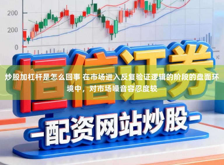 炒股加杠杆是怎么回事 在市场进入反复验证逻辑的阶段的盘面环境中，对市场噪音容忍度较